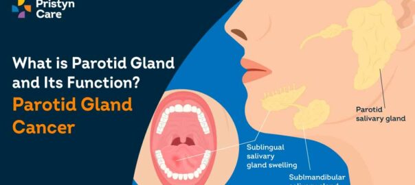 What is Parotid Gland and Its Function? Parotid Gland Cancer