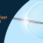 How-Many-Eggs-Are-Needed-For-IVF