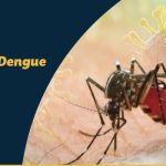 Dengue VS Malaria