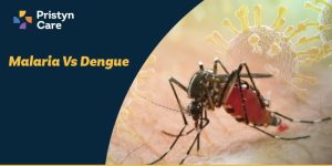 Dengue VS Malaria