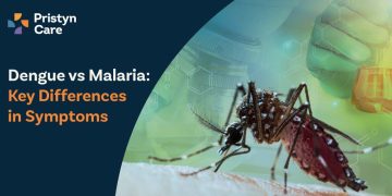 Dengue-vs-Malaria--Key-Differences-in-Symptoms