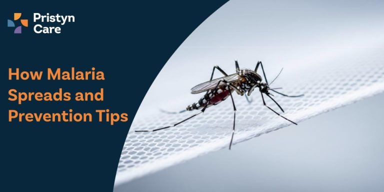 How-Malaria-Spreads-and-Prevention-Tips