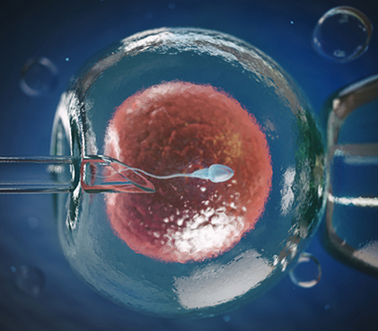 Best IVF  Centre