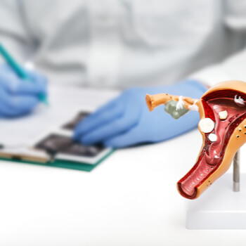 Diagnosis by doctor of Labiaplasty
