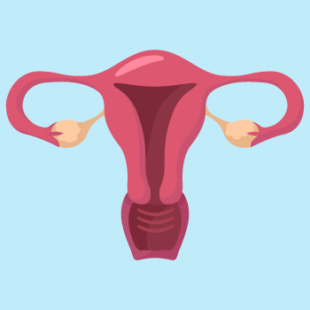 Adenomyosis causes