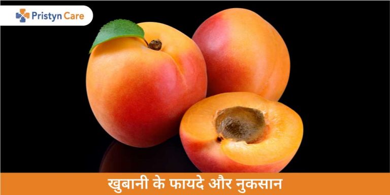 apricot-khubani-uses-benefits