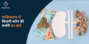 गाज़ियाबाद में किडनी स्टोन की सर्जरी का खर्च