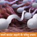 home-remedies-to-increase-sperm-count-in-hindi