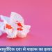 ayurvedic-treatment-of-piles-in-hindi