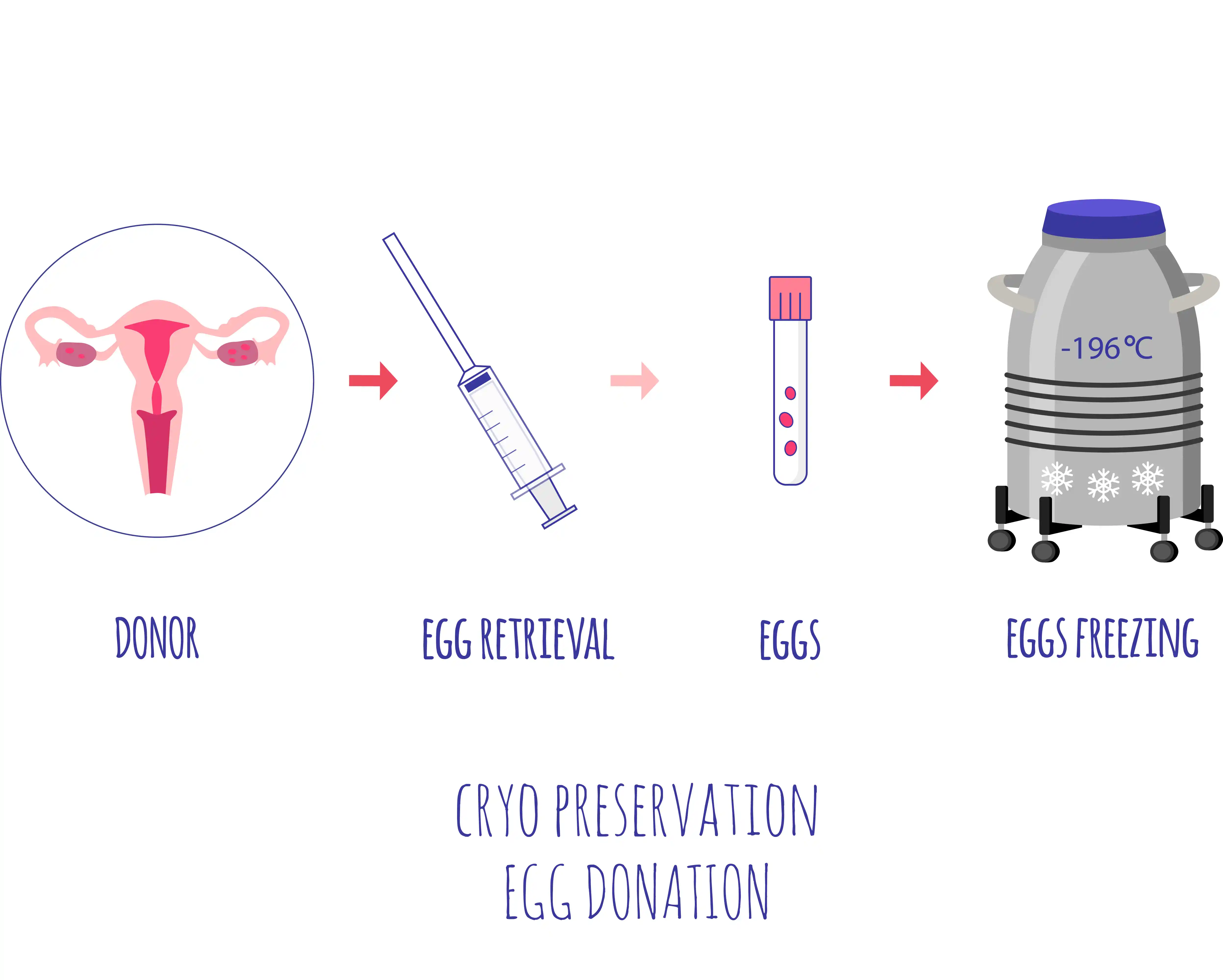 Egg-Freezing