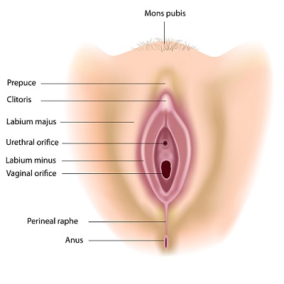 vaginoplasty in gurgaon south delhi